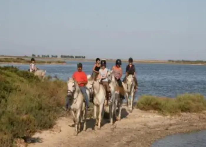 Camping Mobile Climatise